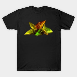 Jewel Foliage T-Shirt